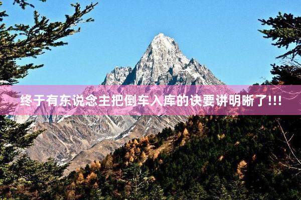 终于有东说念主把倒车入库的诀要讲明晰了!!!