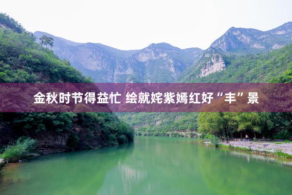 金秋时节得益忙 绘就姹紫嫣红好“丰”景