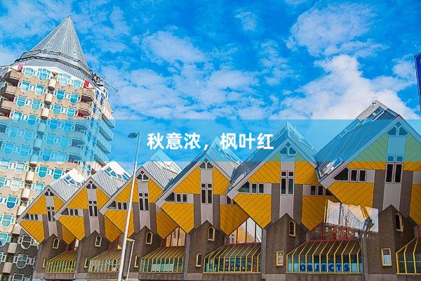 秋意浓，枫叶红