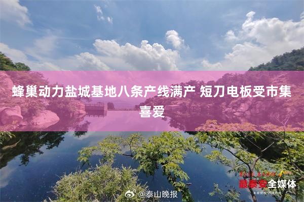 蜂巢动力盐城基地八条产线满产 短刀电板受市集喜爱